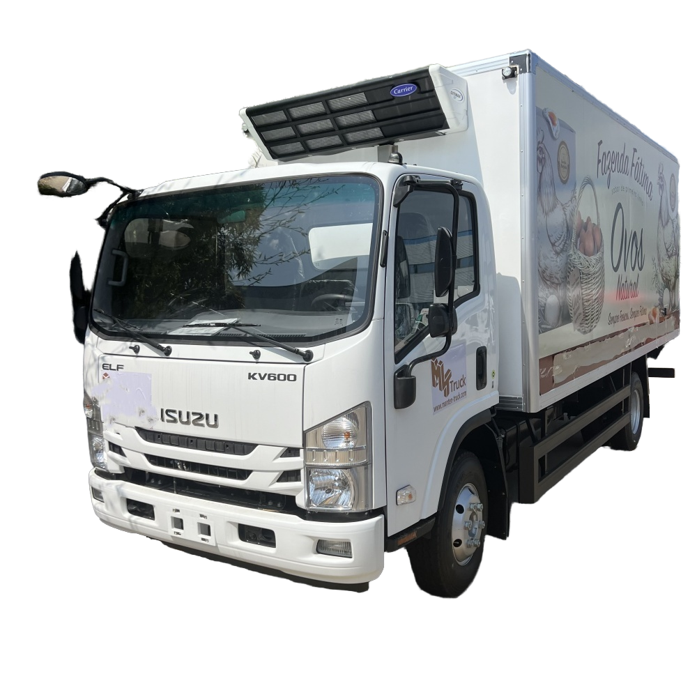 New 5 Tons Isuzu Cargo Van Truck Freezer Food Refrigerator Manual Transmission Diesel Fuel Euro 4 St